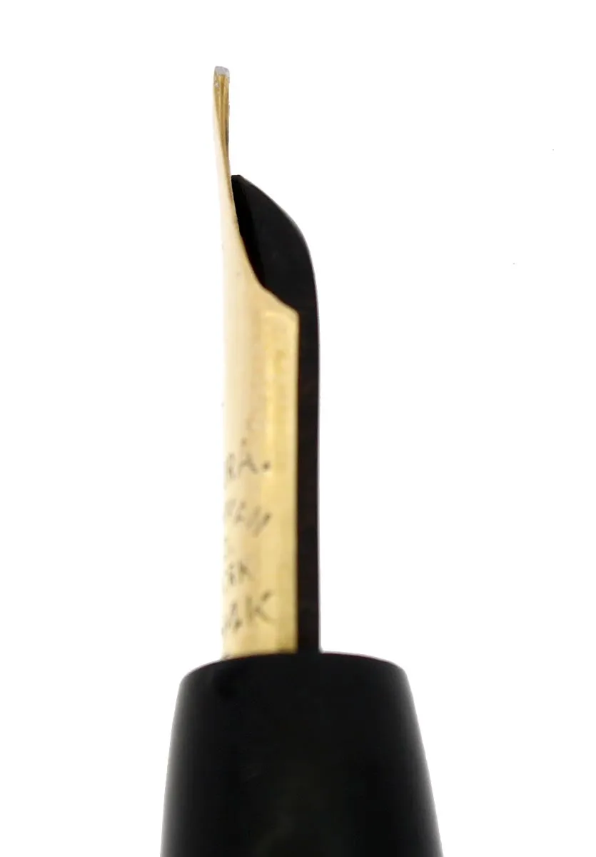 C1913 AA WATERMAN #2 SIZE BLACK CHASED HARD RUBBER TWISTFILLER 1.93MM FLEX NIB FOUNTAIN PEN